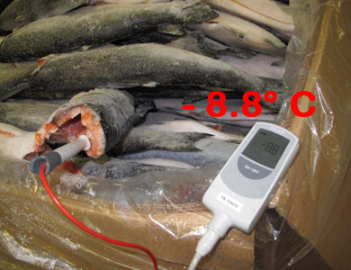 Beweisfoto - Tiefgefrorener Lachs - mangelhafte Kühlleistung